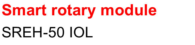 A green background with red text that reads " library month school ".